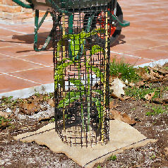 Protective Netting For Shrubs